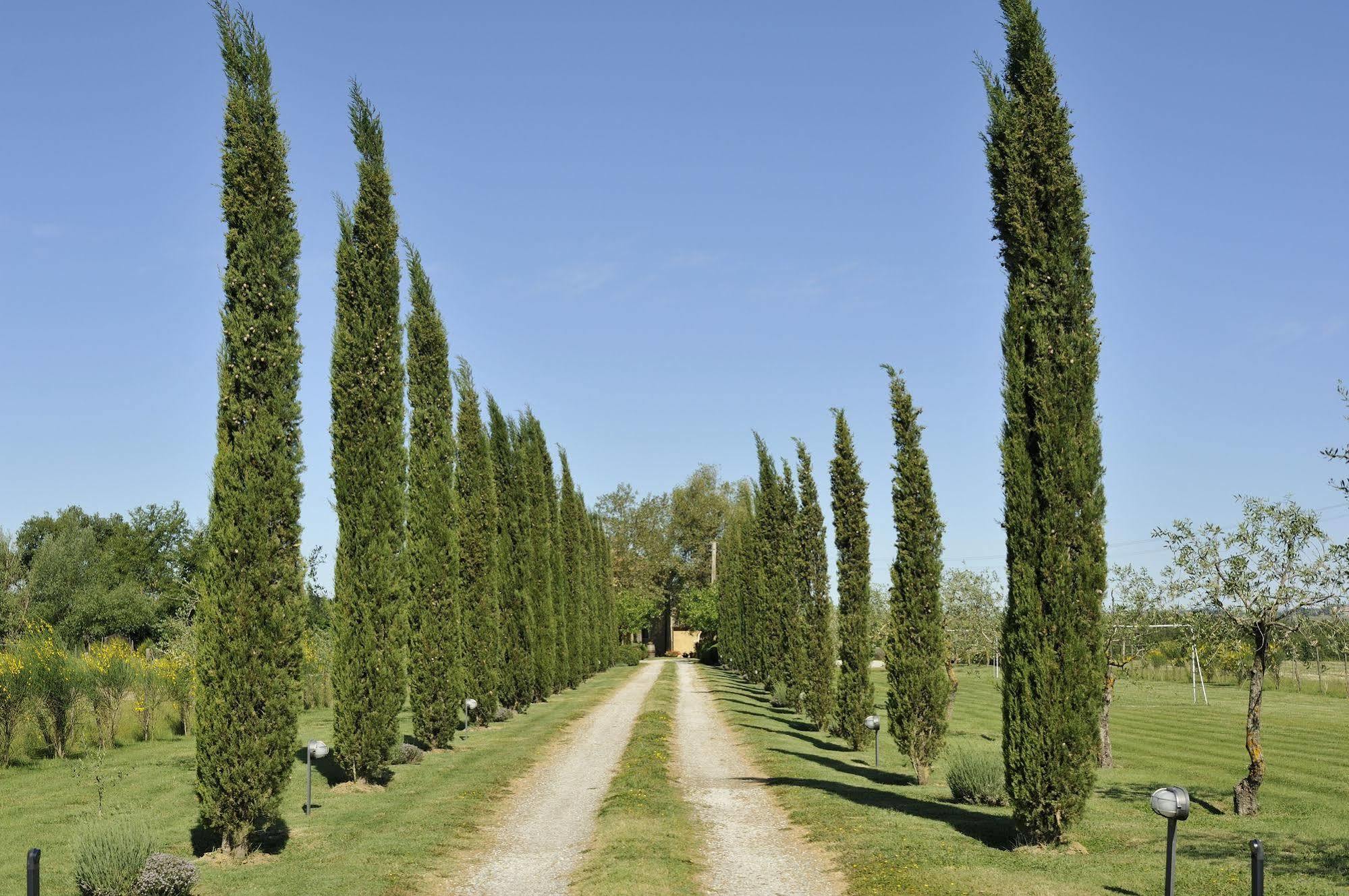 Agriturismo La Lodola Castelnuovo Berardenga Exterior foto